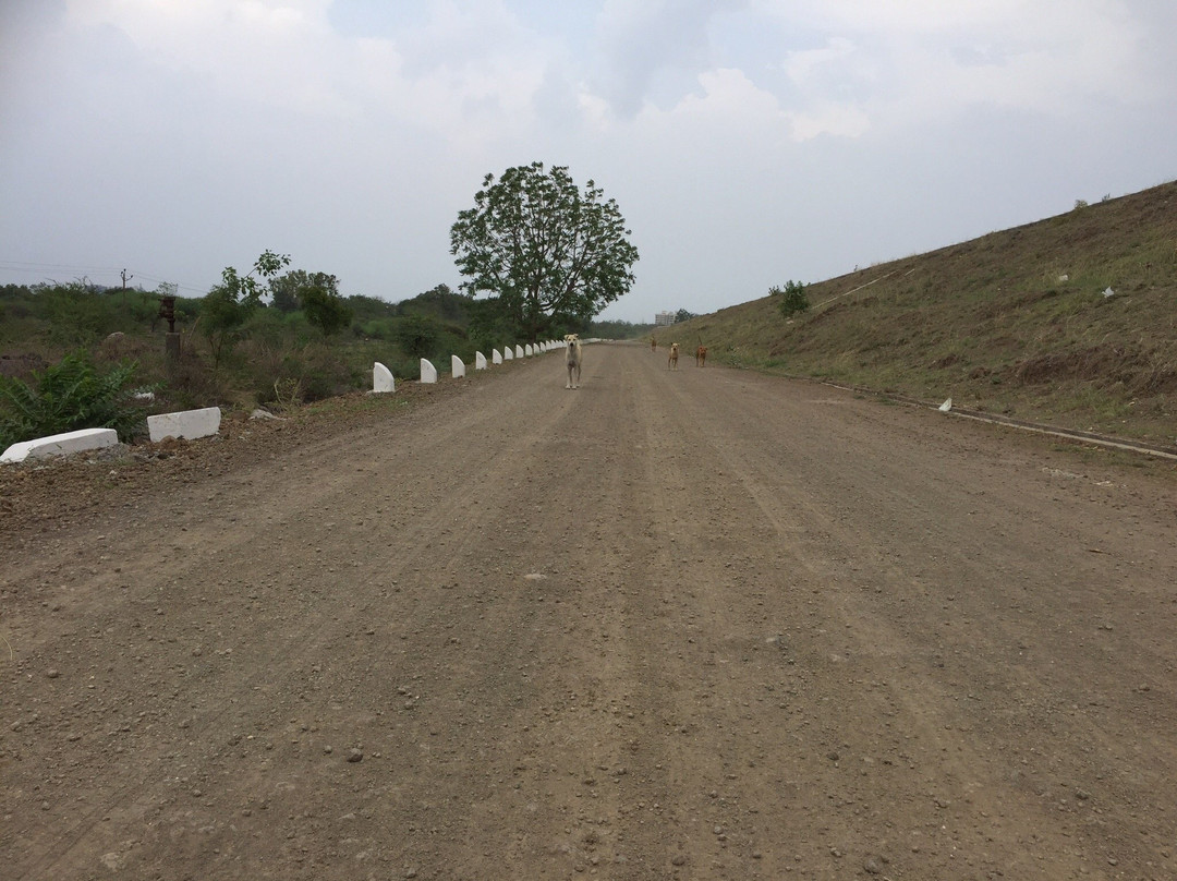 Nyari Dam-杰拉果德必去景点