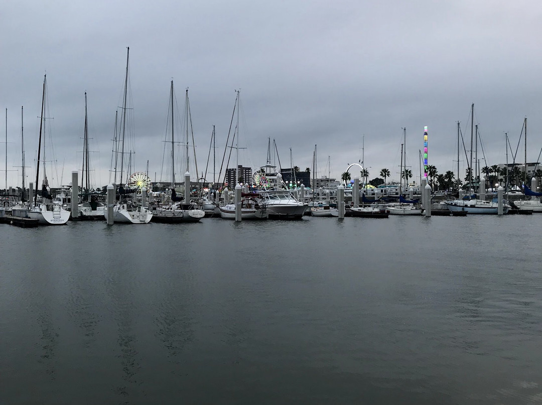 Corpus Christi Municipal Marina-科珀斯克里斯蒂市必去景点