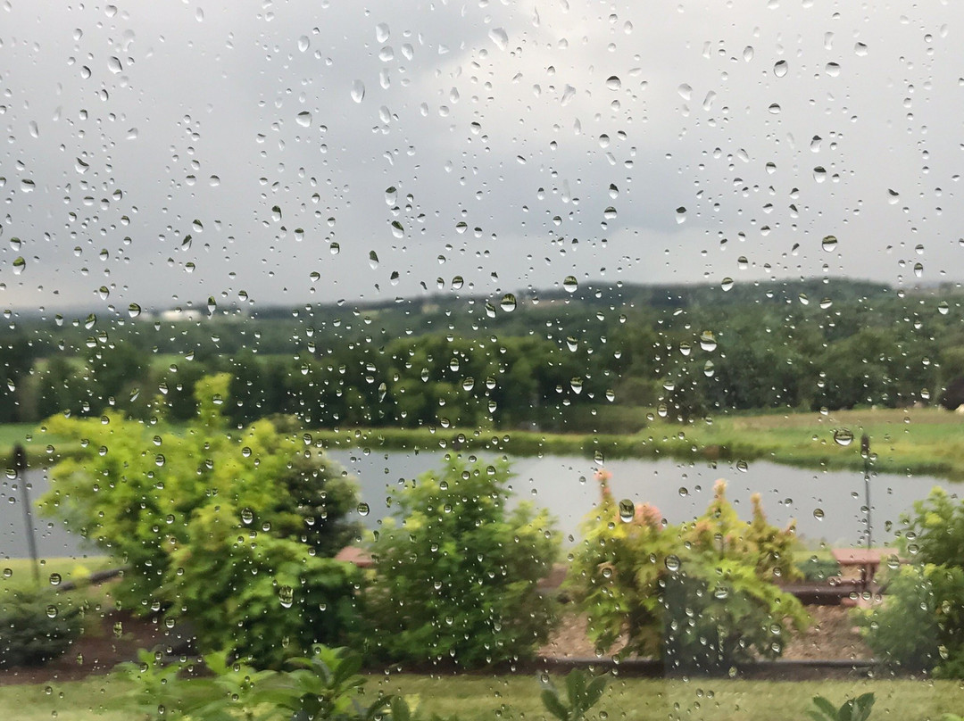 Bent Ladder-Doylestown必去景点