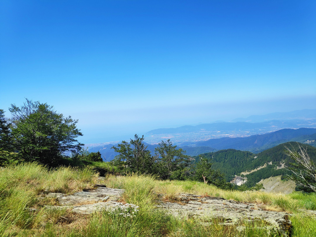 Campocecina Carrara Ms景点图片