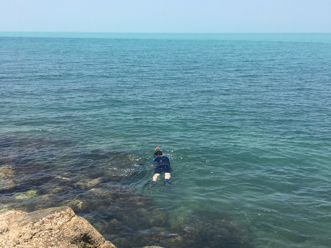 مدرسه غواصی مرکزی-Bushehr必去景点