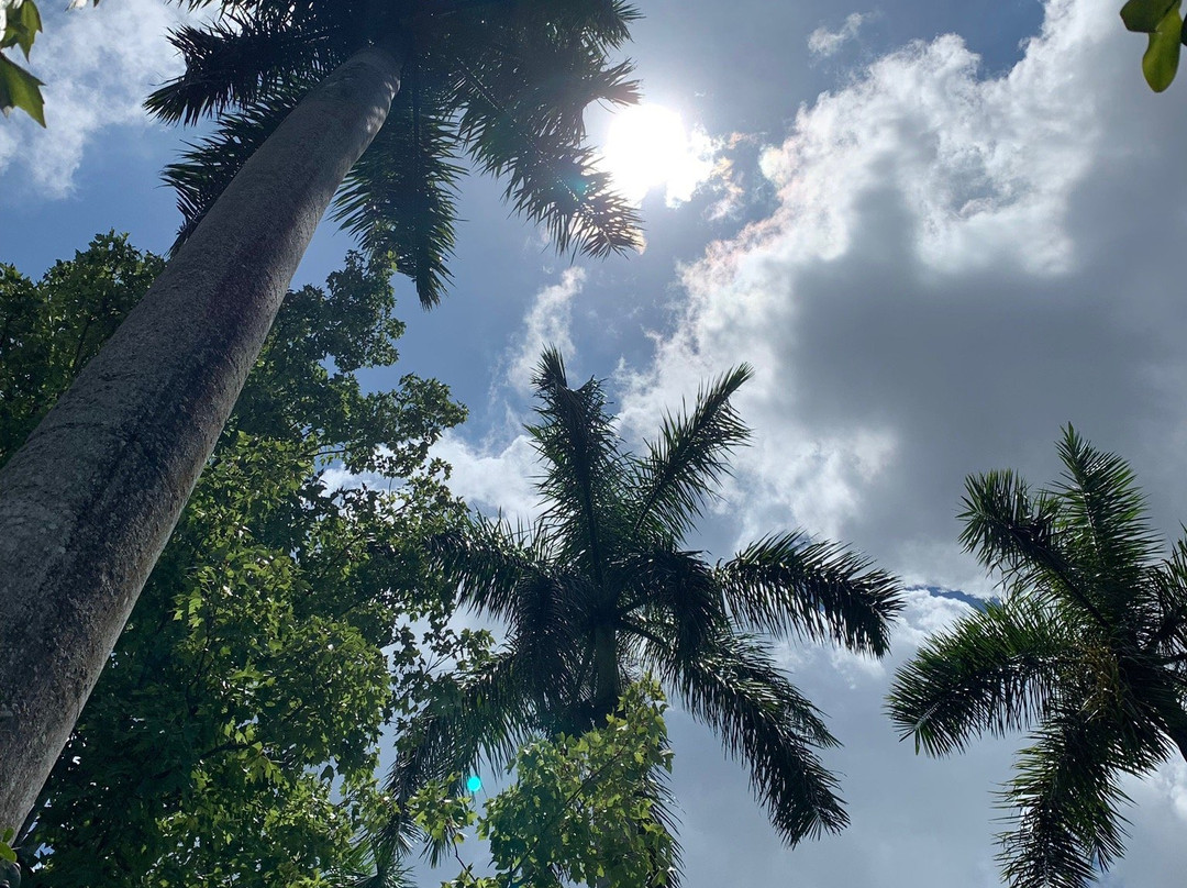 Secret Woods Nature Center-达尼亚滩必去景点