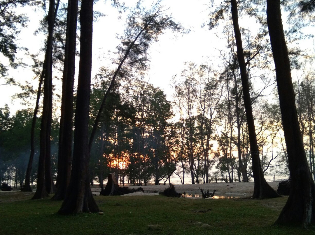 Tanah Merah Beach景点图片