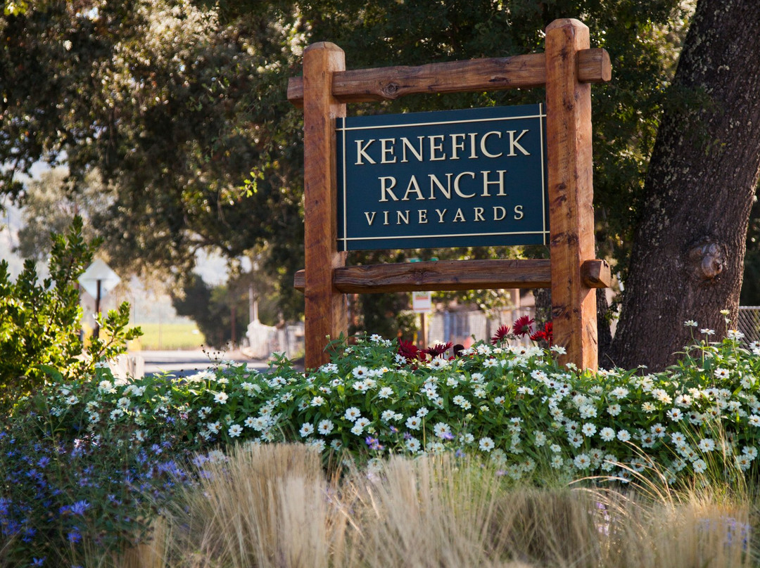 Kenefick Ranch Vineyard & Winery景点图片
