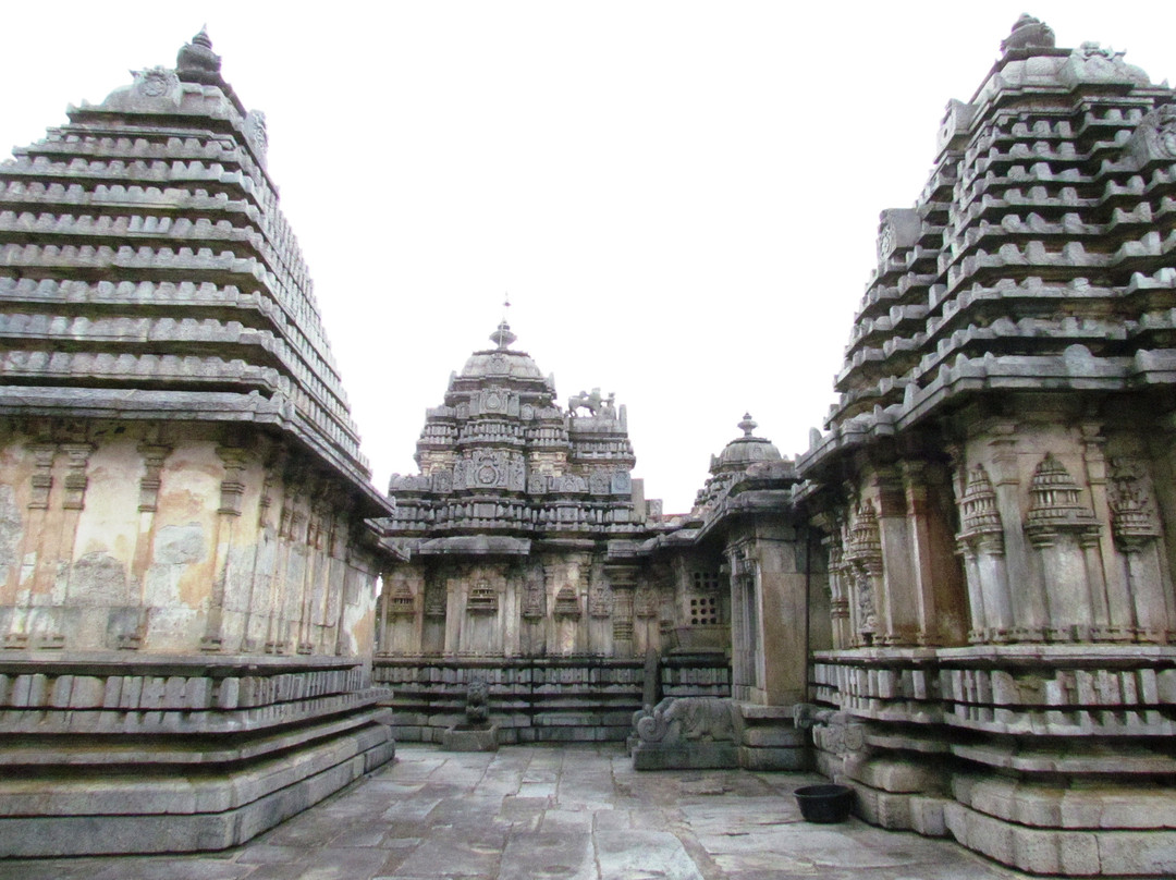 Lakshmi Devi Temple景点图片