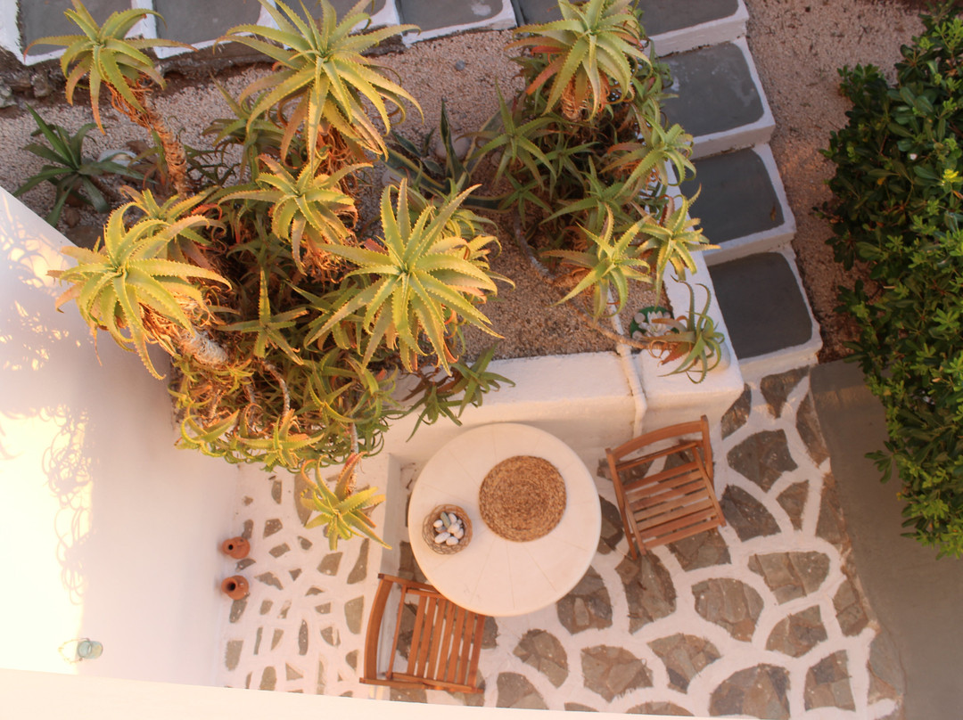 Bellevue Village主图