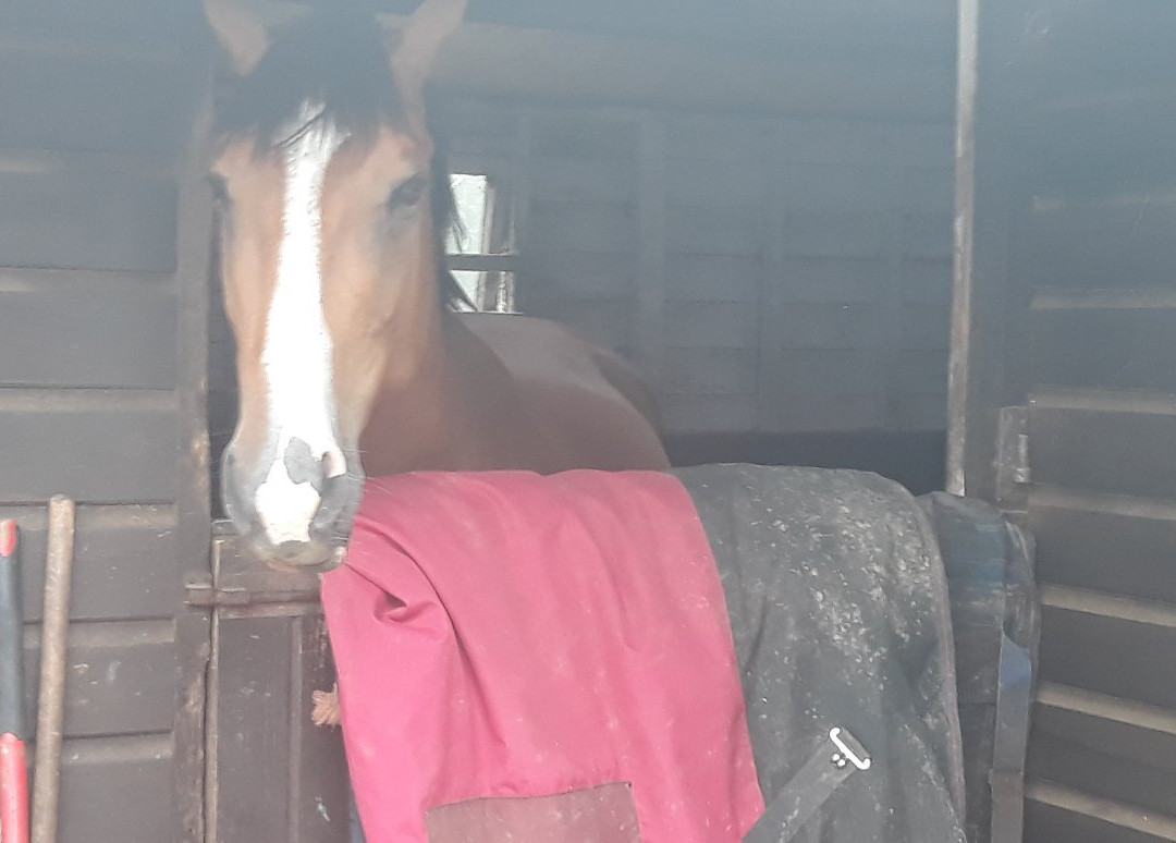 Charity Farm-Wrightington必去景点