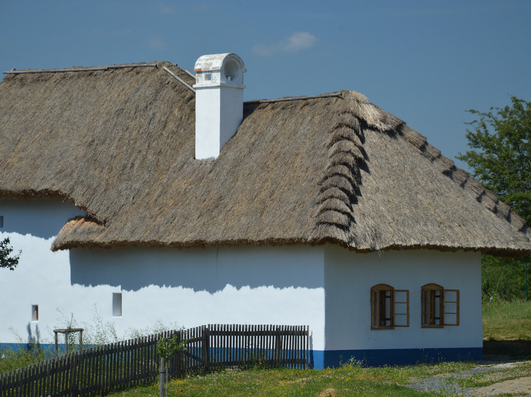 Open-air museum Rochus景点图片