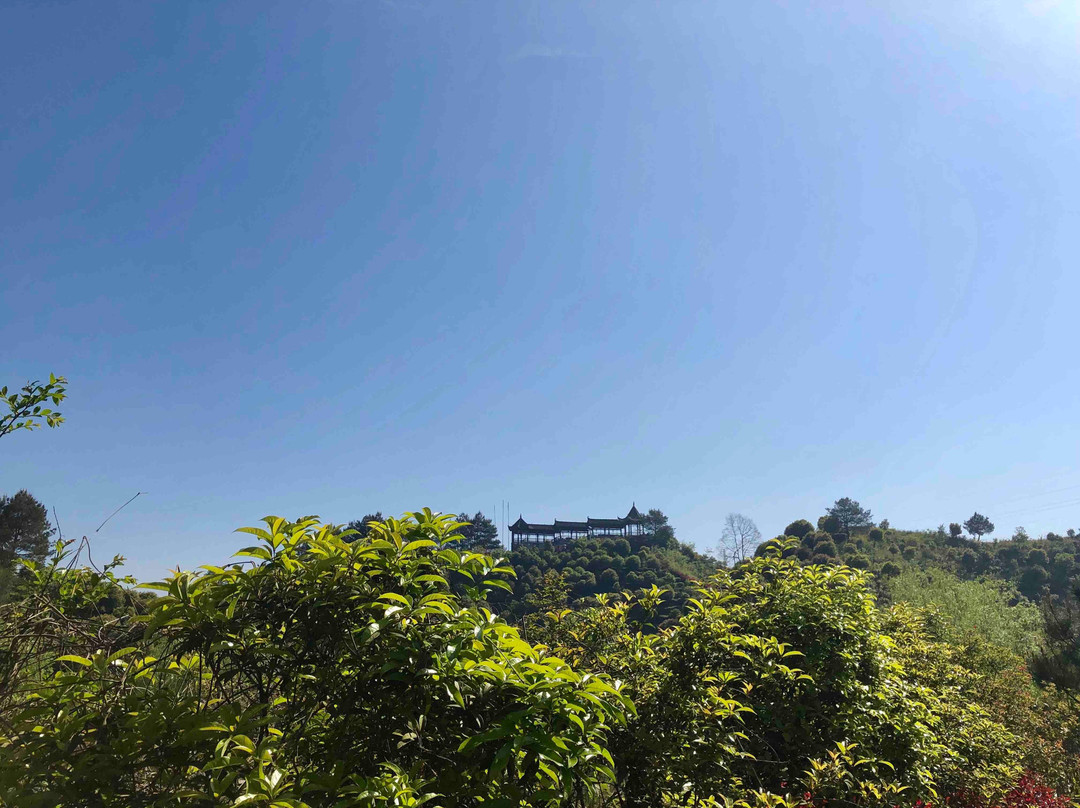 黄山屯溪山城-黄山市必去景点
