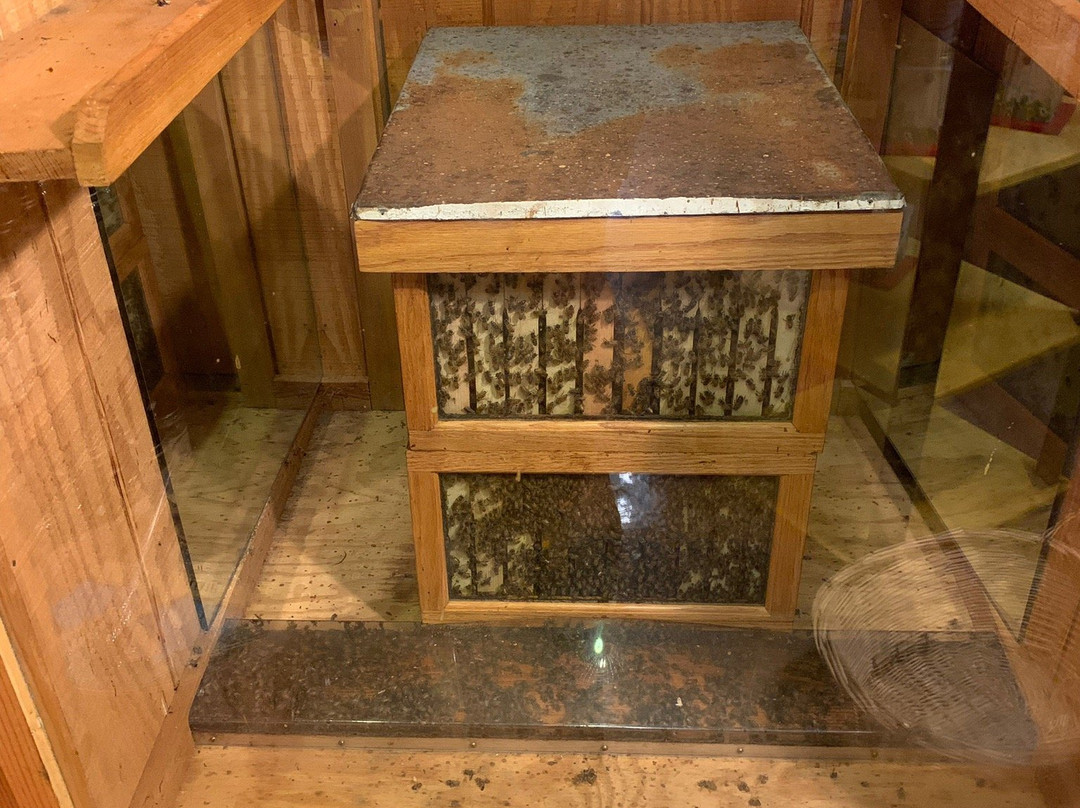 Betty's Country Store-海伦必去景点