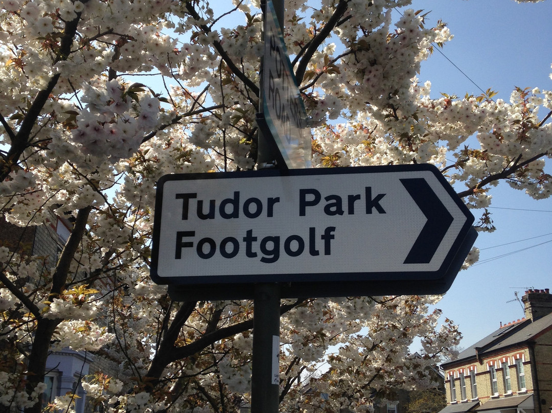 Tudor Park Footgolf景点图片