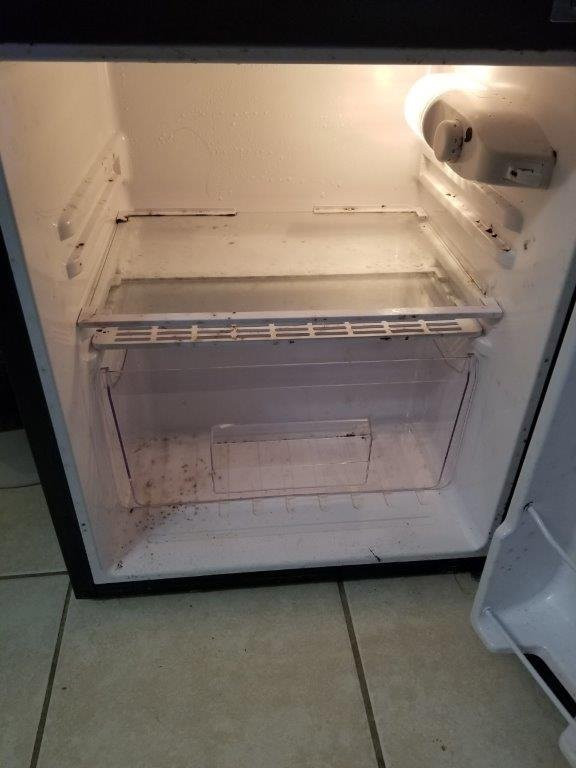 Lily Lake Resort-Burlington必去景点