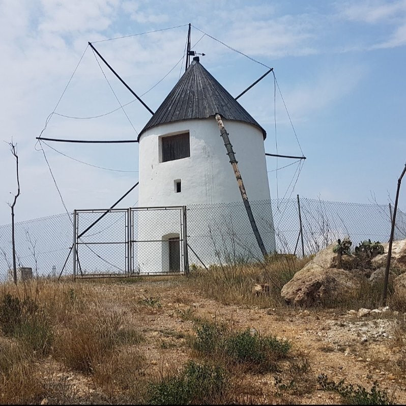 Molino Del Tio Paco-Torre-Pacheco必去景点
