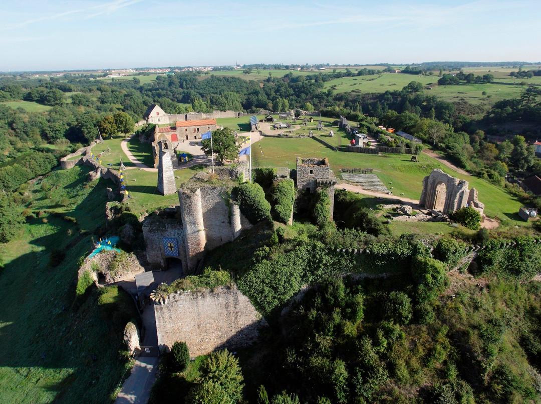 Chateau de Tiffauges景点图片