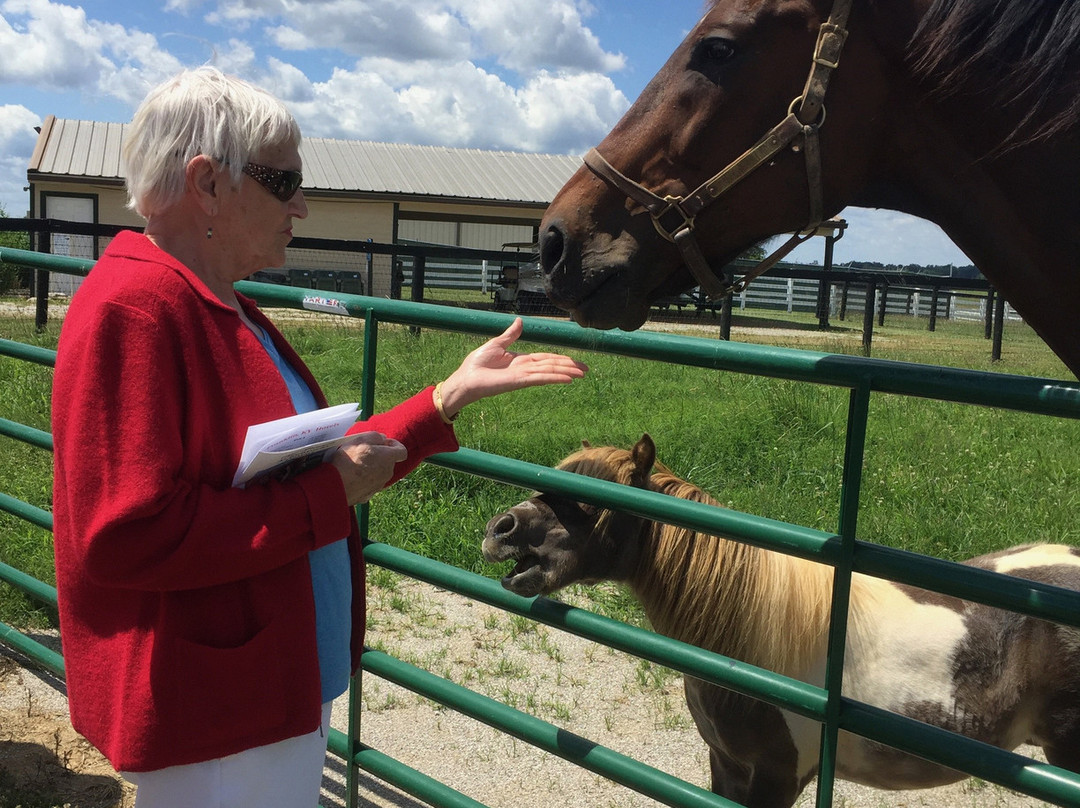 Old Friends at Kentucky Downs-Franklin必去景点
