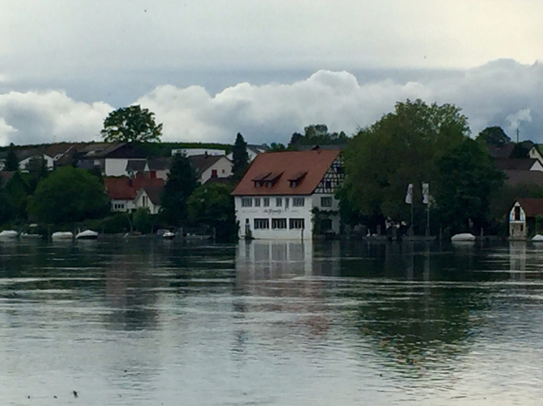Hotel & Restaurant Alte Rheinmuhle主图