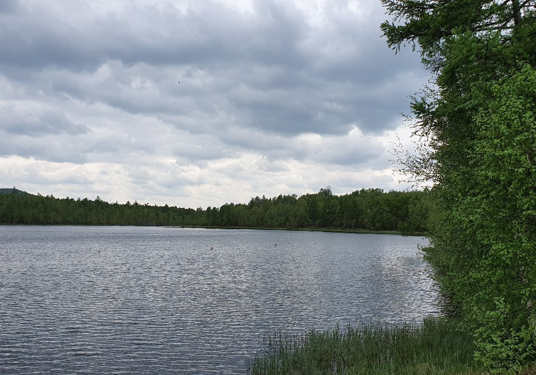 Lake Dikoye-Bograd必去景点