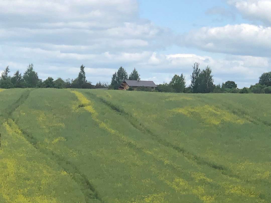 Mini-Hotel Vysokoe主图