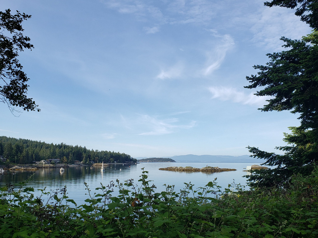 Loghouse at Halfmoon Bay主图