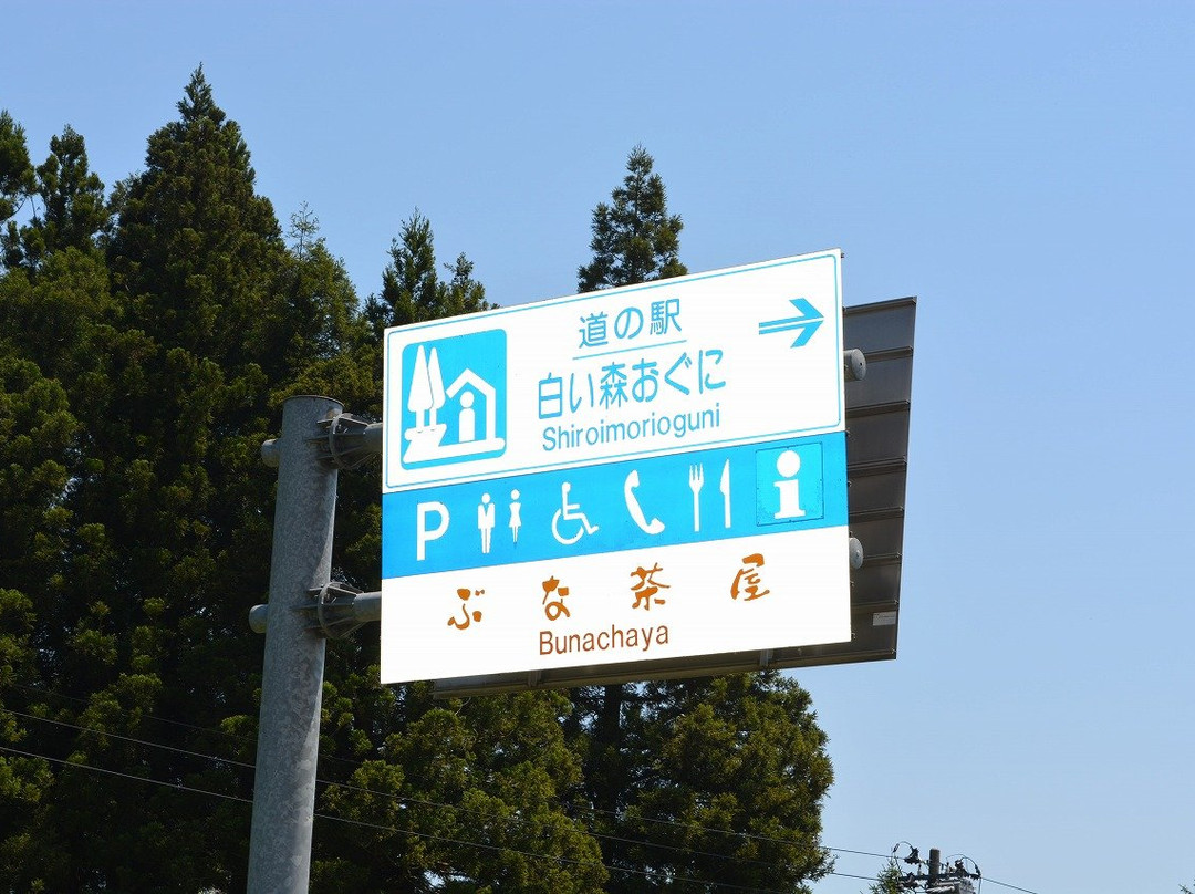Michi-no-Eki Shiroimori Oguni景点图片
