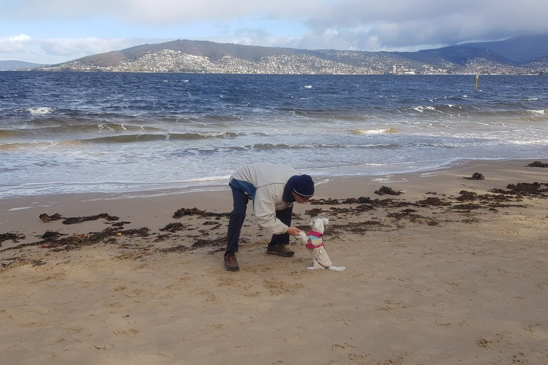 Bellerive Beach景点图片