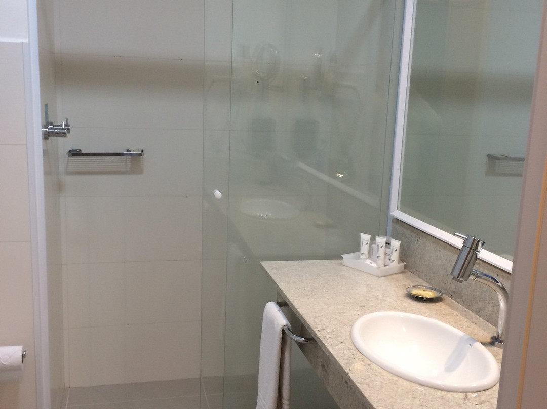 Blue Tree Premium Alphaville主图