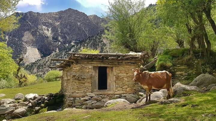 Kalasha Valleys-Chitral必去景点