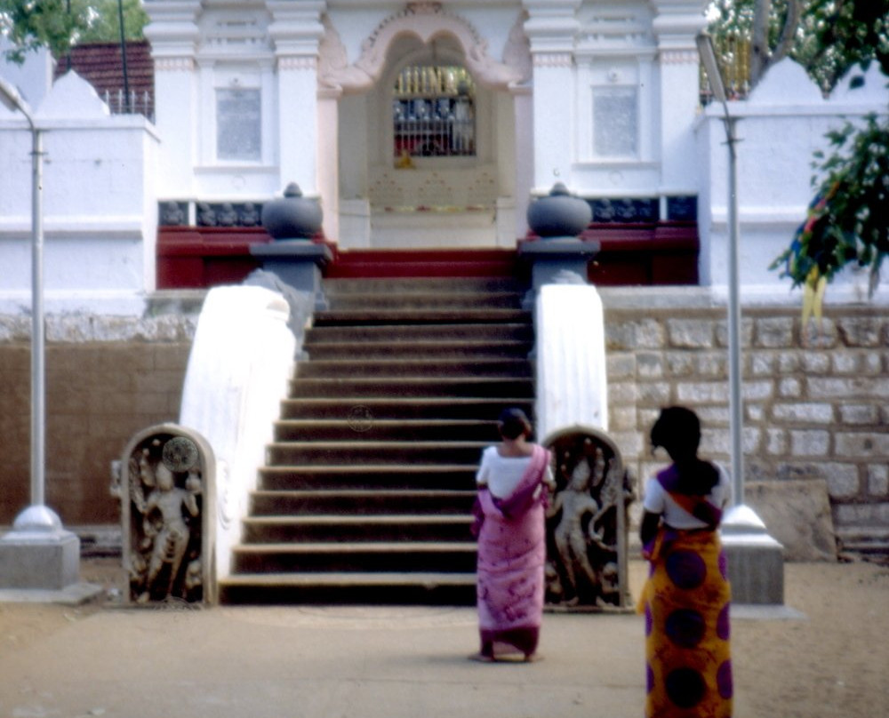 Jaya Sri Maha Bodhi景点图片
