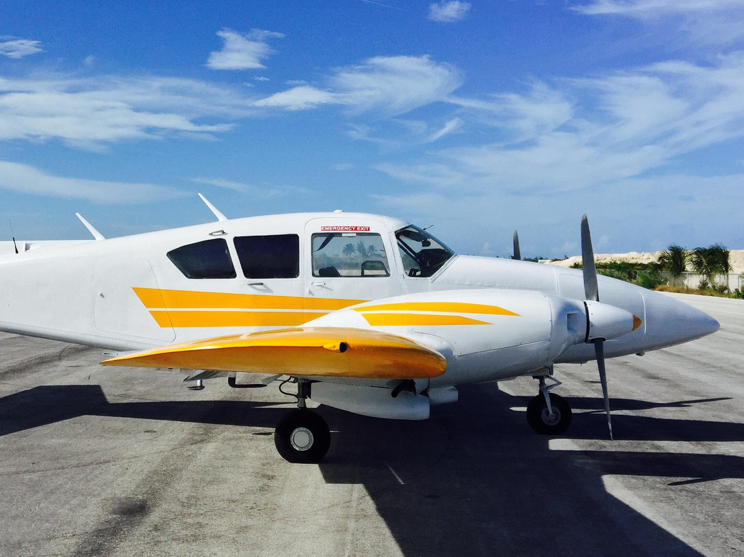 Private Airplane Swimming Pig Excursion-斯丹尼尔岛必去景点