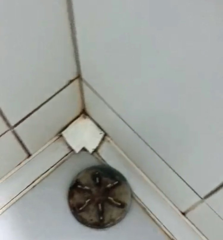 大埃米尔住宅酒店主图