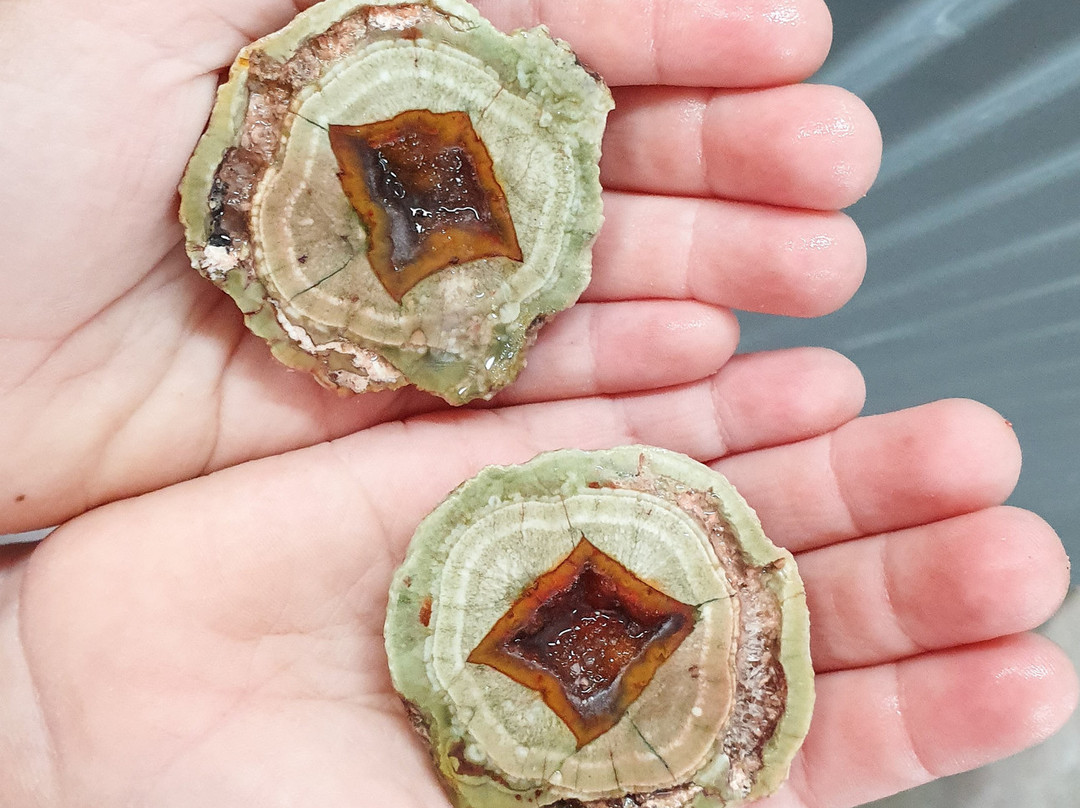 Mt Hay Gemstone Tourist Park-Wycarbah必去景点