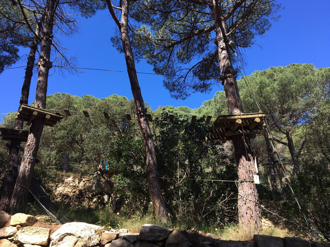 Parc Aventura Sant Feliu景点图片