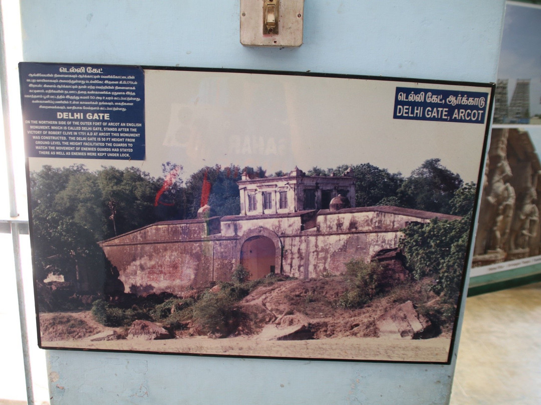 Archeological Museum of India景点图片