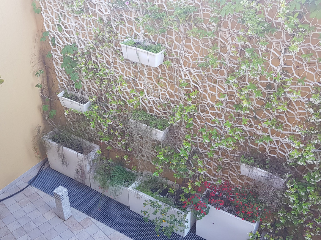 Janas Hotel主图