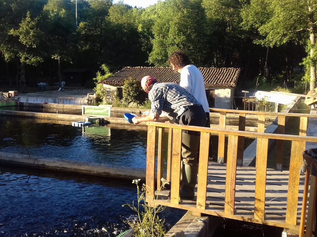 Nascente do Côa主图