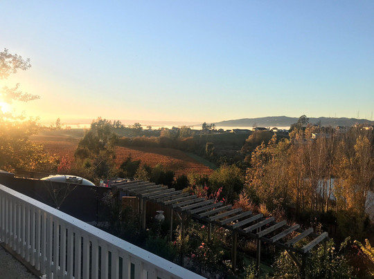 Willow's Green主图