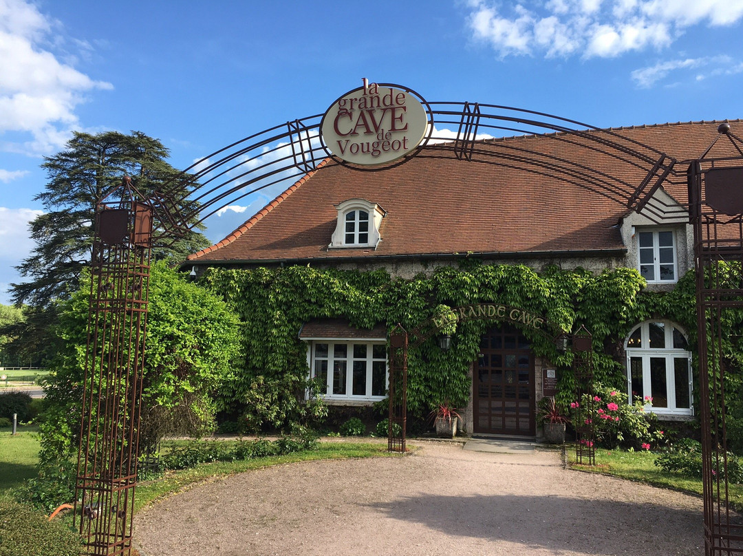 La Grande Cave de Vougeot景点图片