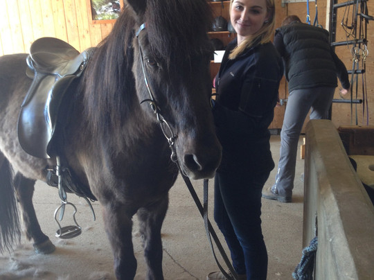 Kalfholt Hestaferdir-塞尔福斯必去景点