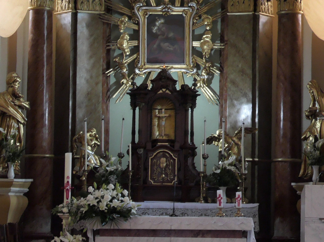 The Chatolic Parish of Timişoara-Iosefin景点图片