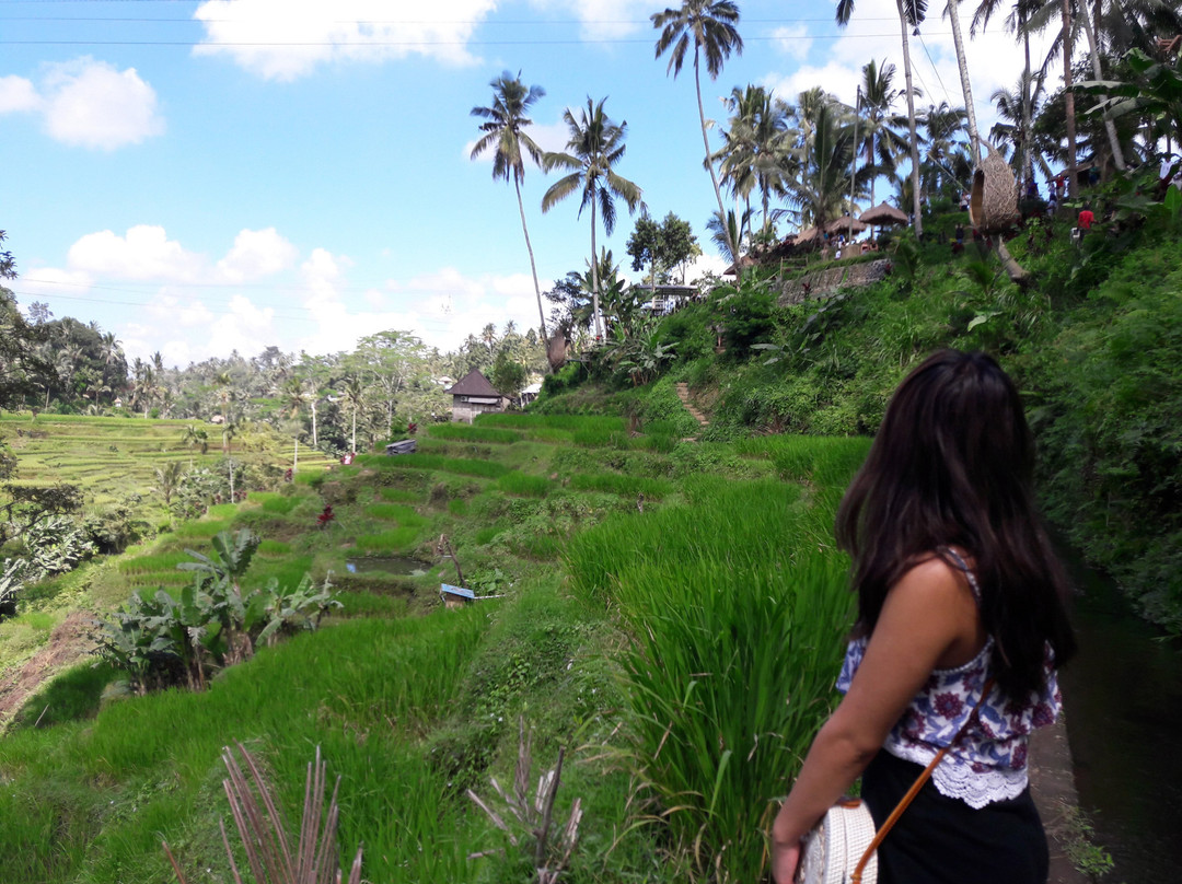 JJBalitours-乌布必去景点