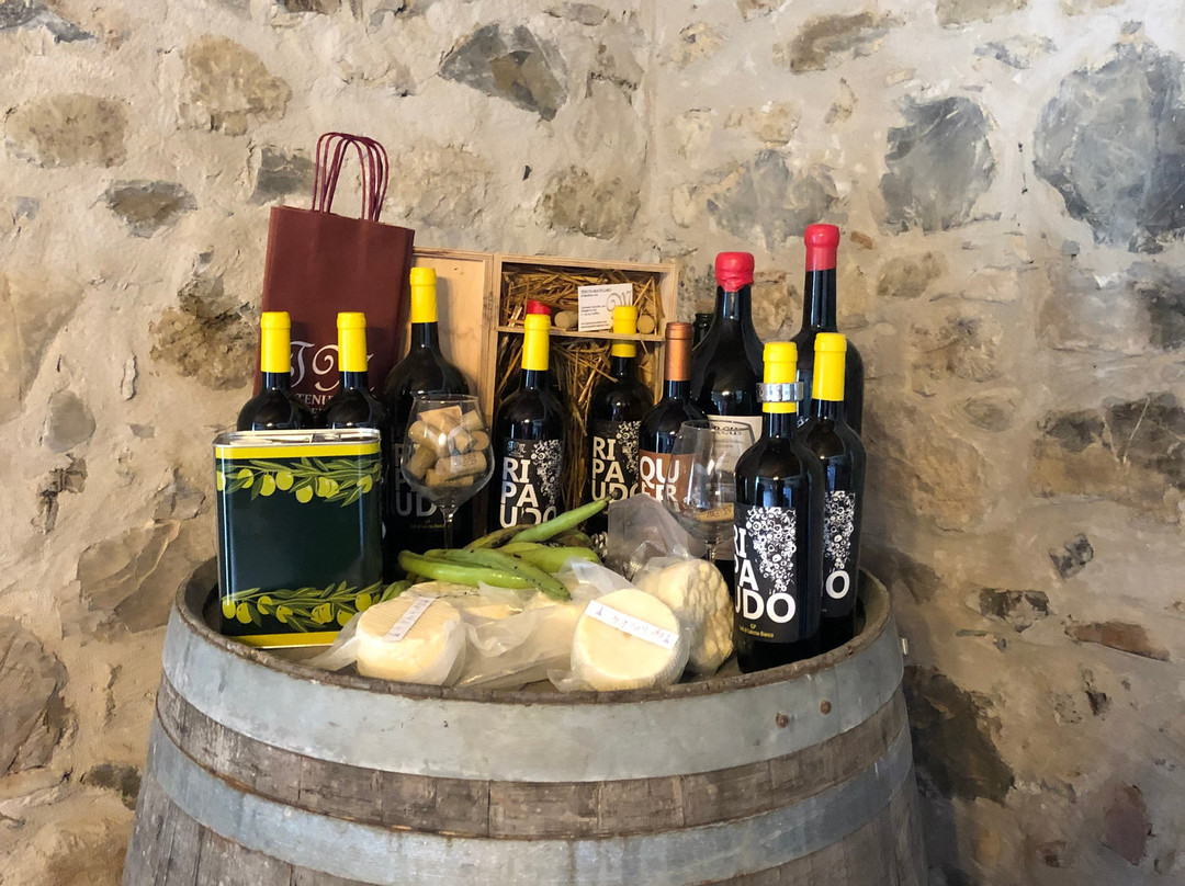 Tenuta Macellaro Winery景点图片