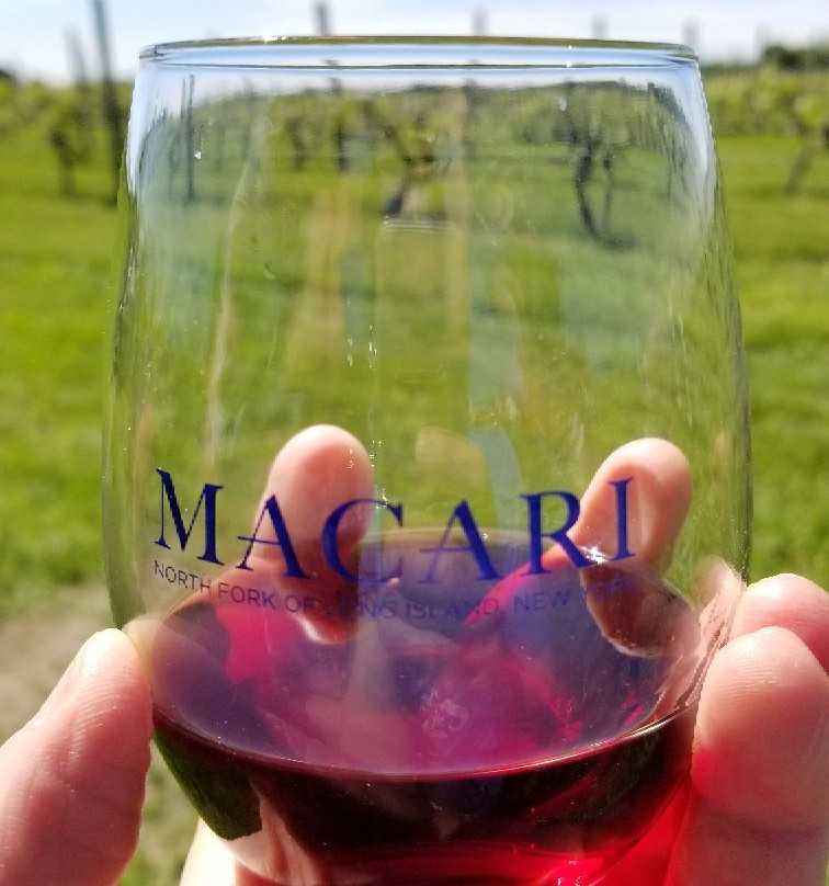 Macari Vineyards景点图片