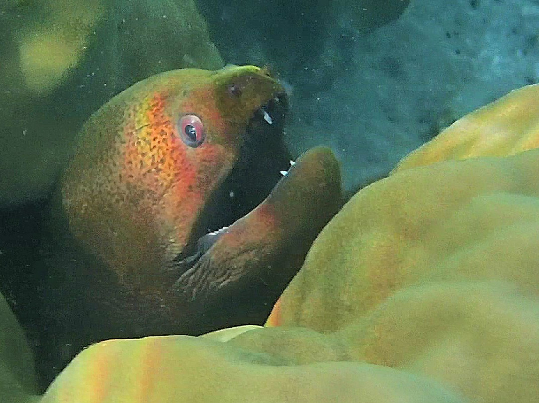 玛哈玛雅度假酒店主图