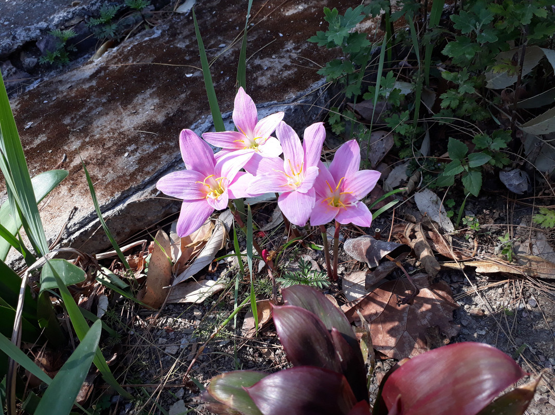 The Hermitage Kailash主图