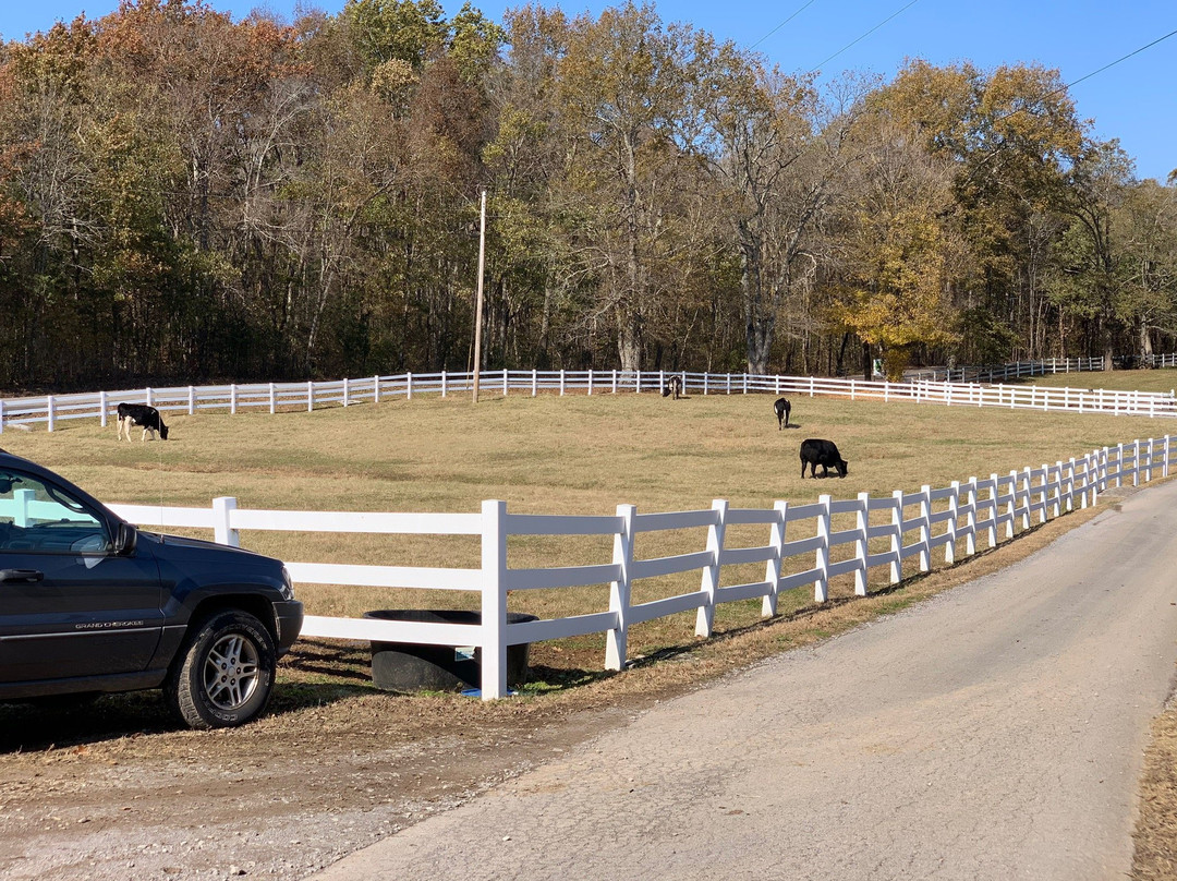 Gentle Barn-诺克斯维尔必去景点