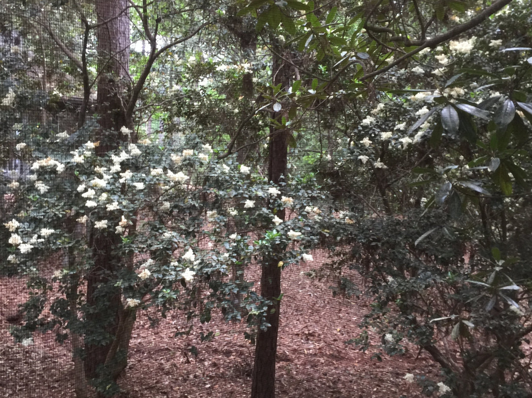 Callaway Resort & Gardens主图