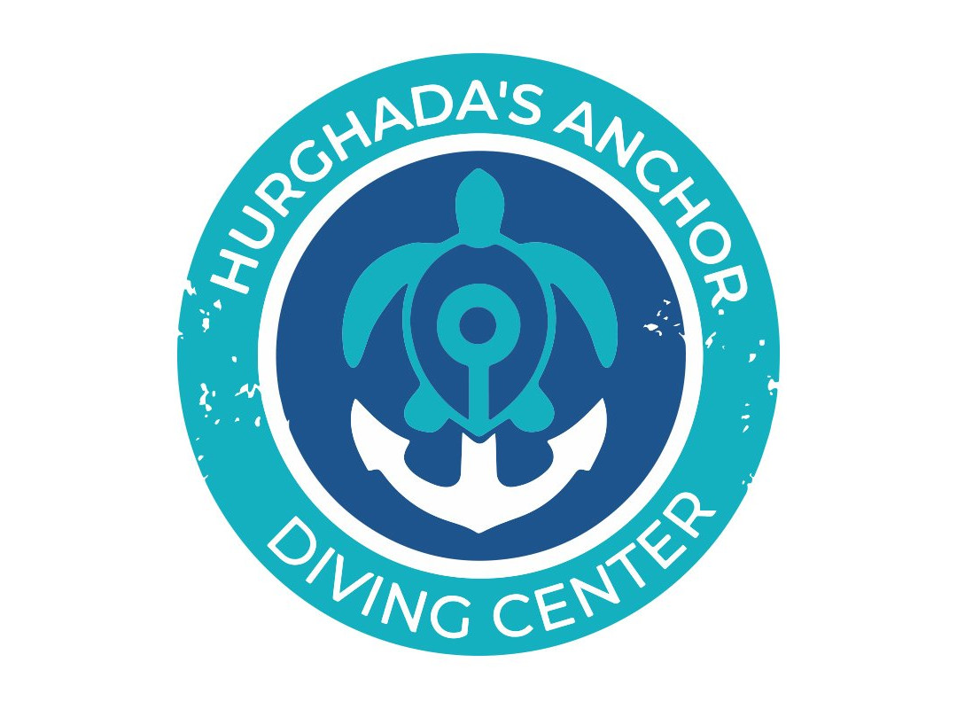 Hurghada's Anchor Diving Center景点图片