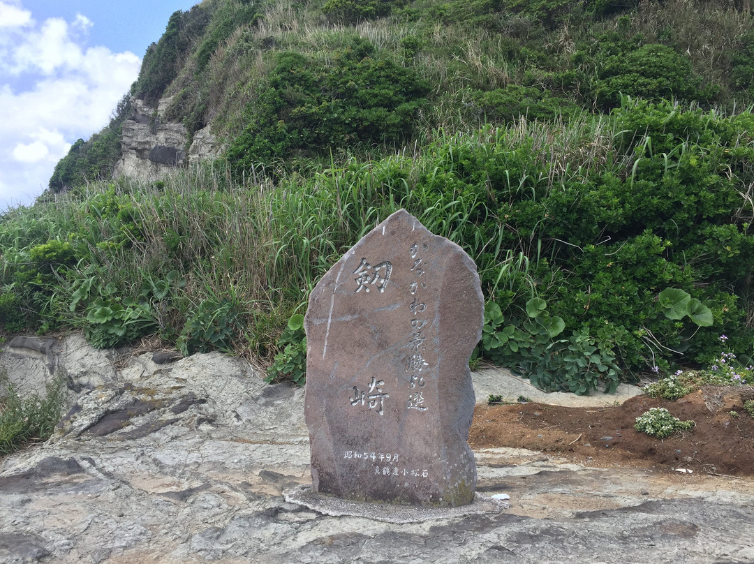 Tsurugisaki景点图片