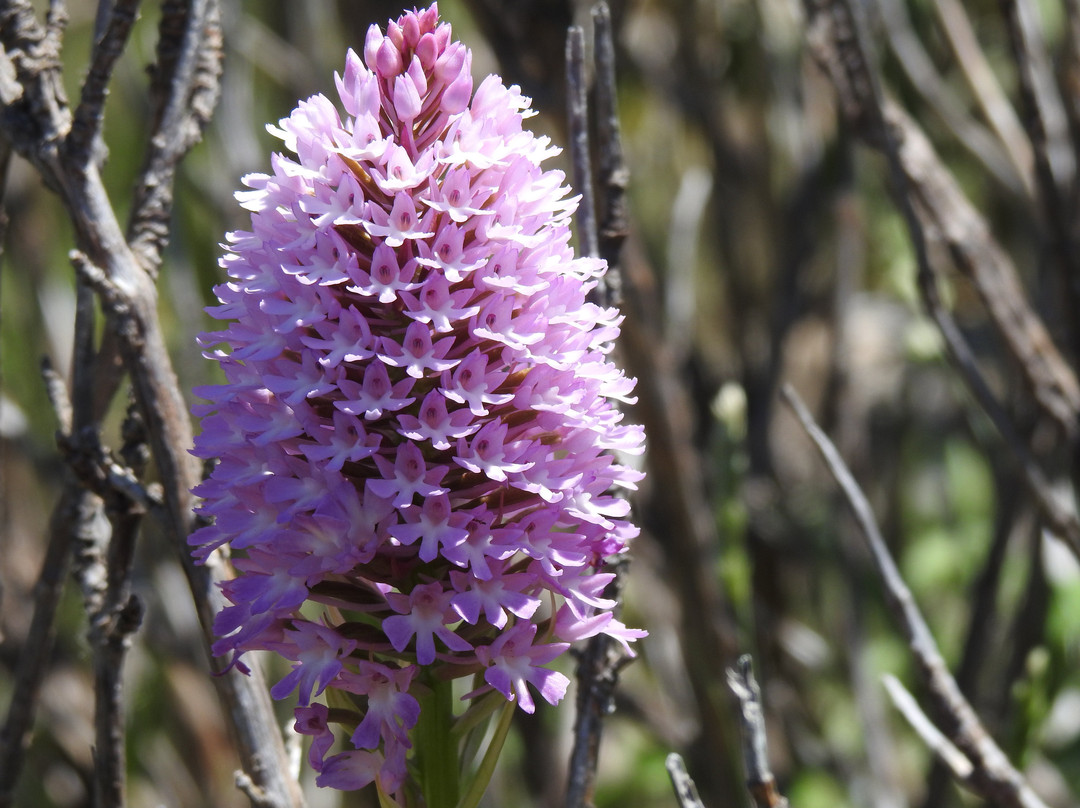 Granada Wildlife-格拉纳达必去景点