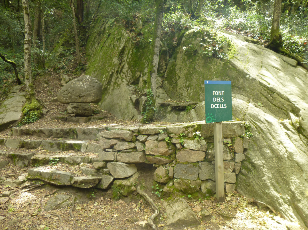 Parque Mediombiental de Gualba-Gualba必去景点